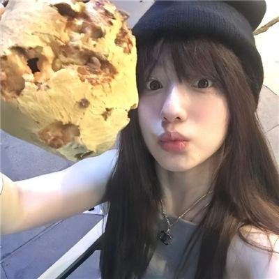 战鸽总动员 封面